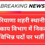 Haryana ULB Recruitment 2025