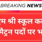 PM Shri School JNV Kaloi Recruitment 2025