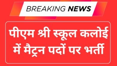 PM Shri School JNV Kaloi Recruitment 2025