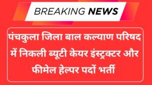 Panchkula District Child Welfare Council Recruitment 2025
